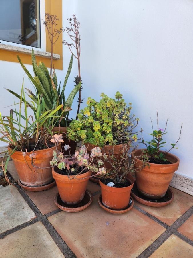 Quinta Das Amendoas Carvoeiro  Ngoại thất bức ảnh